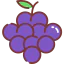 Grapes icon 64x64