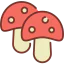 Mushroom icon 64x64