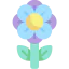Flower icon 64x64