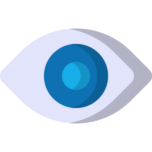 Vision icon
