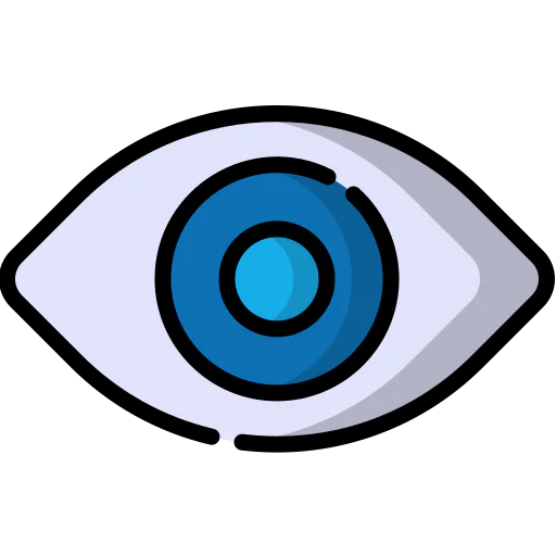 Vision icon