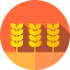 Wheat icon 64x64