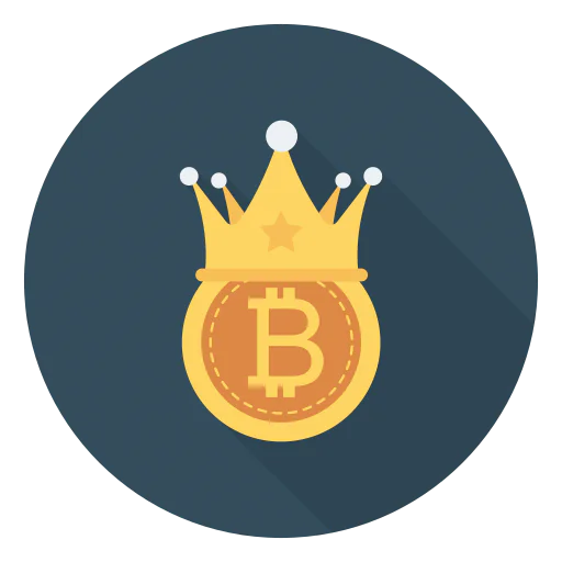 Bitcoin icon