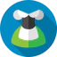 Dirndl icon 64x64