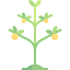 Plant icon 64x64