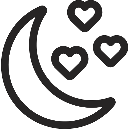 Moon icon