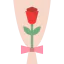 Rose icon 64x64