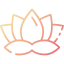 Lotus flower icon 64x64