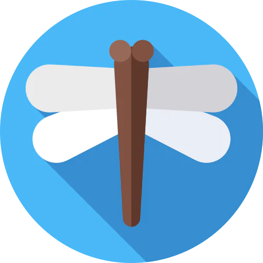 Dragonfly icon