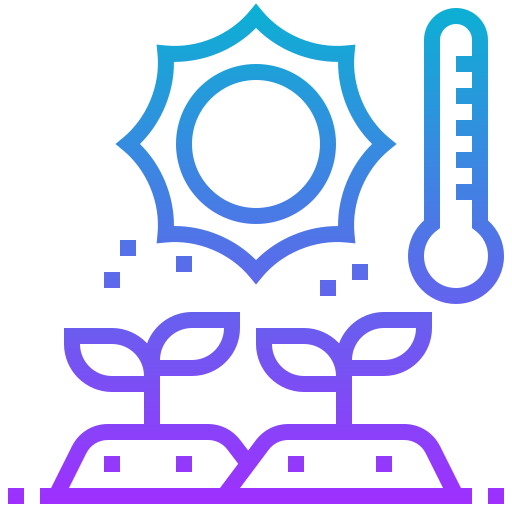 Temperature icon