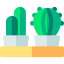Cactus Ikona 64x64