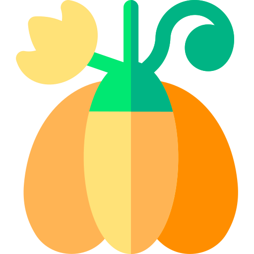 Pumpkin icon