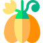 Pumpkin Ikona 64x64