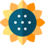Sunflower Ikona 64x64