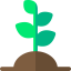 Sprout Ikona 64x64
