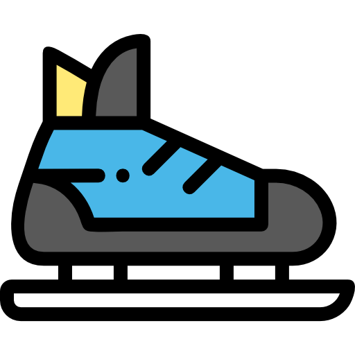 Skates icon