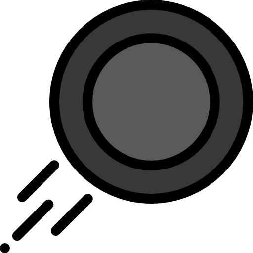 Puck icon