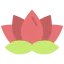 Lotus icon 64x64