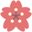 Sakura アイコン 64x64