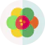 Fruit icon 64x64