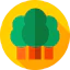 Trees 图标 64x64