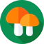 Mushrooms icon 64x64