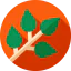 Branch Ikona 64x64