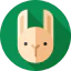Rabbit icon 64x64