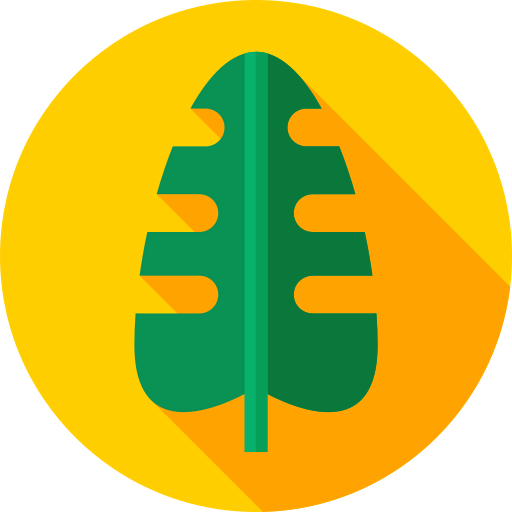 Oak icon