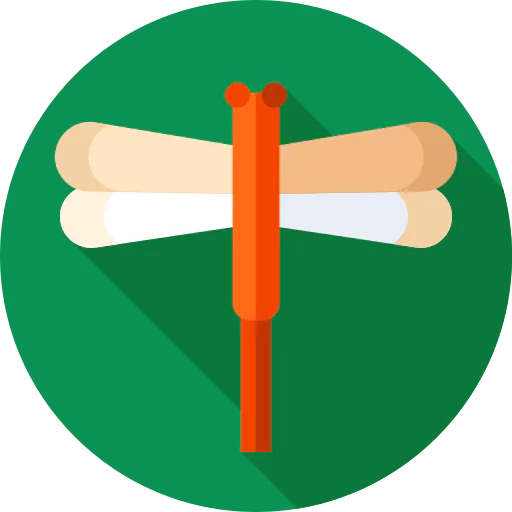 Dragonfly icon