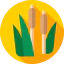 Typha icon 64x64