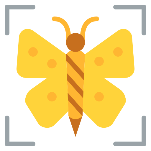 Macro icon