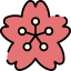 Sakura アイコン 64x64