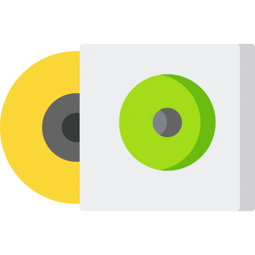 Vynil icon