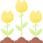 Flower icon 64x64