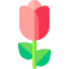 Rose icon 64x64