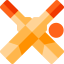 Cricket icon 64x64