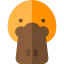 Platypus icon 64x64