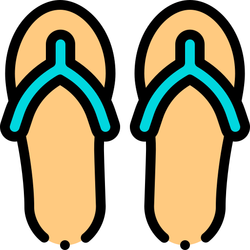 Flip flops icon