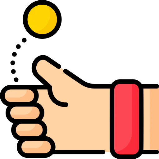 Toss icon
