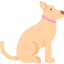 Dog icon 64x64
