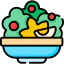 Salad icon 64x64