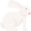 Rabbit icon 64x64