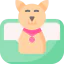 Pet bed Ikona 64x64