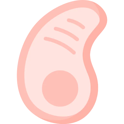 Meat icon