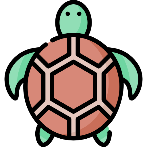 Turtle icon