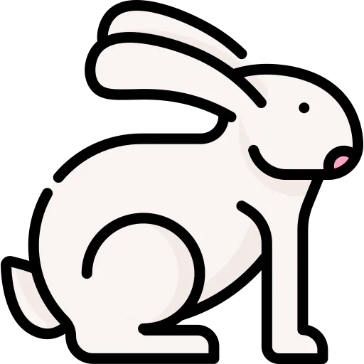Rabbit icon
