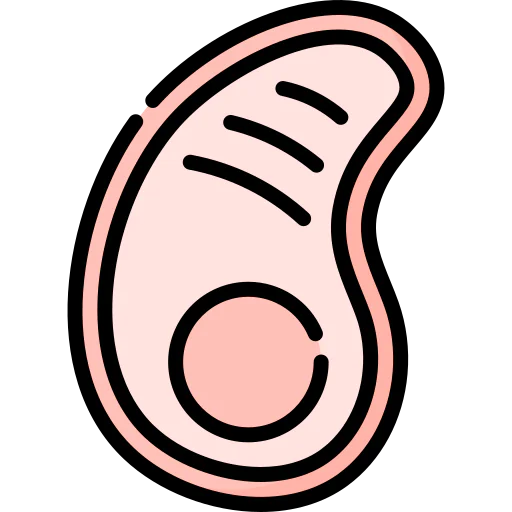Meat icon