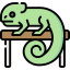 Chameleon icon 64x64