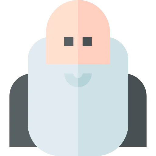 Wise icon